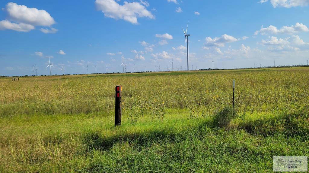 0 RANCHO ALEGRE RD., SEBASTIAN, TX 78594, photo 1 of 4