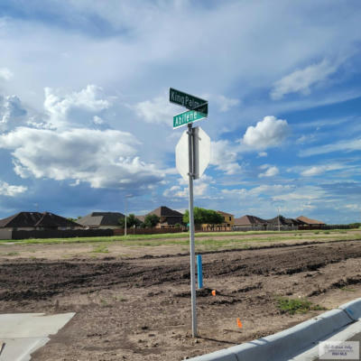 LOT 14 WILLOW PALM COURT, BROWNSVILLE, TX 78526 - Image 1