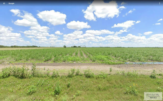 N. 3.5 MI. RABB RD., SANTA ROSA, TX 78593 - Image 1