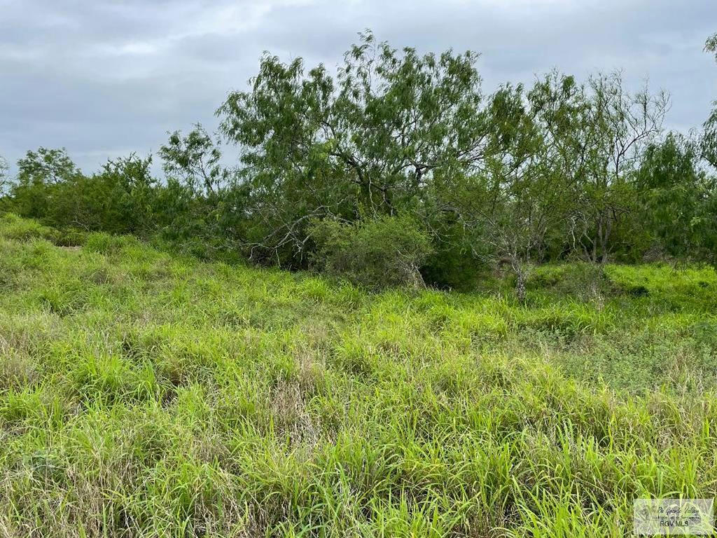 15 LOTS HWY 100, LOS FRESNOS, TX 78566, photo 1 of 5